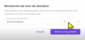 choisissez un nom de domaine pour votre site